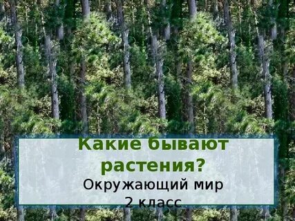 Бывать окружающее
