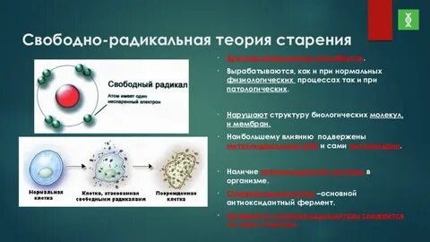 Свободные радикалы свойства