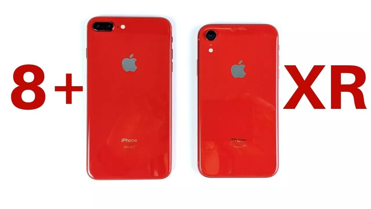 Iphone XR И iphone 8 Plus. Айфон 8 плюс и айфон XR. Iphone 8 Plus vs iphone XR. Iphone 8 iphone XR.