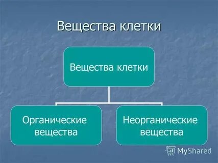 Химические вещества клетки неорганические и органические