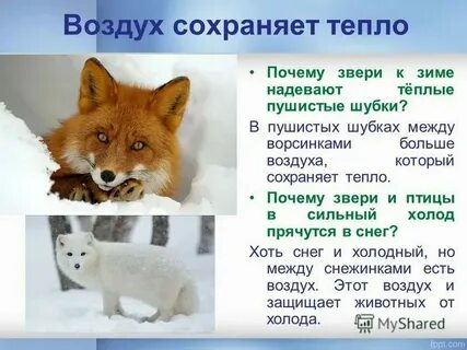 Новосибирск почему тепло