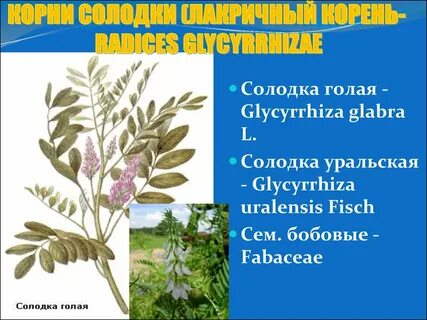 Соберите солодку