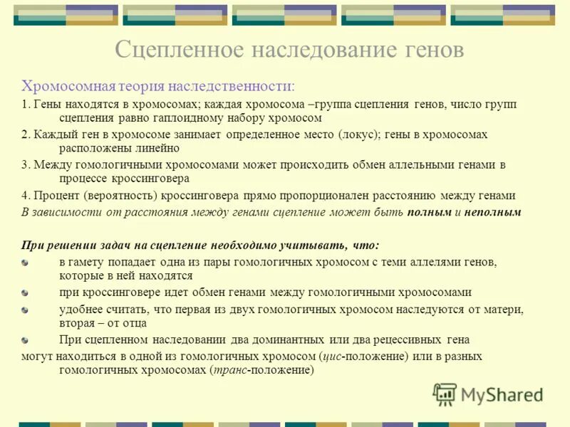 Сцепленное наследование генов презентация 10 класс