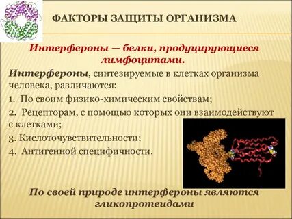 Иммунные факторы организма