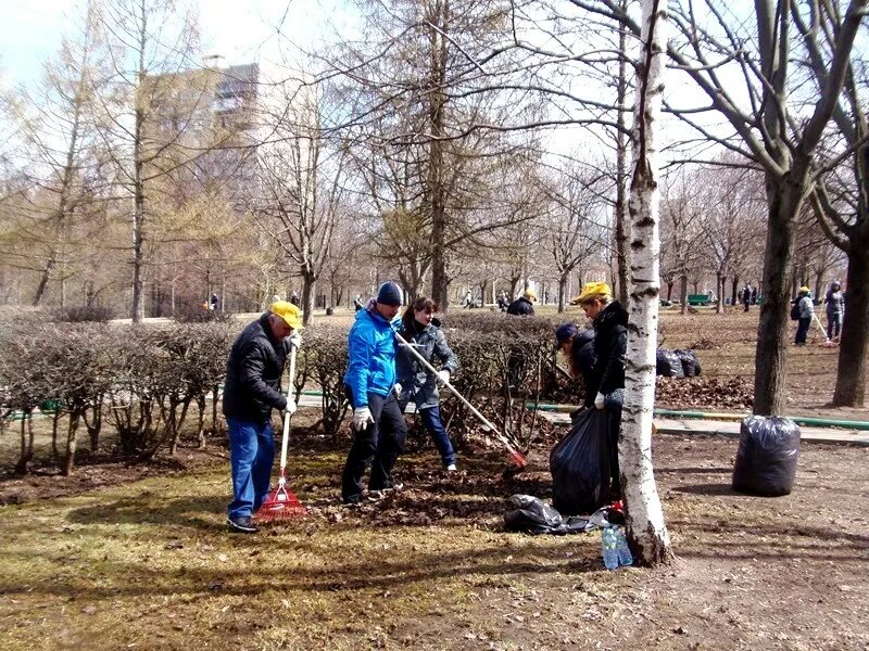 Жилищник чертаново южное газопровод. Жилищник чертаново центральное. благоустройство территории чертаново. парк 30 летия победы в чертаново.