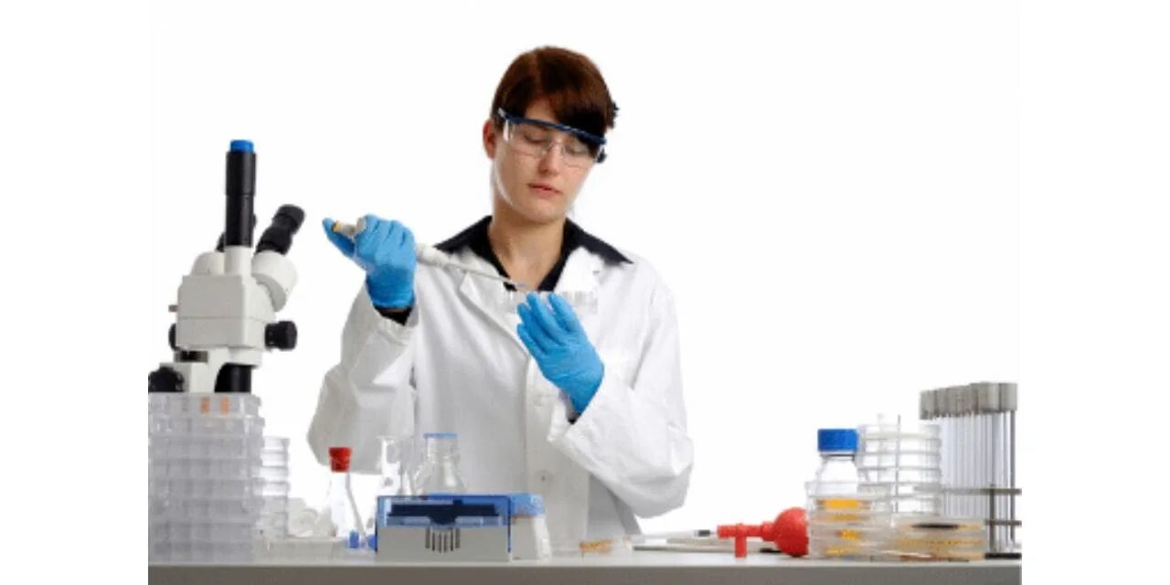 Food sampling. Медико-диагностическая лаборатория. sampling food. laboratory test dna.