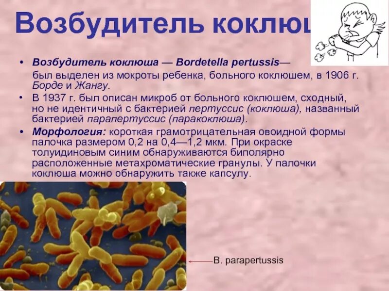 Женский возбудитель таблетки. Rendez vous возбудитель. «rendez vous» женский возбудитель. Женский возбудитель. Rendez vous мужской возбудитель.