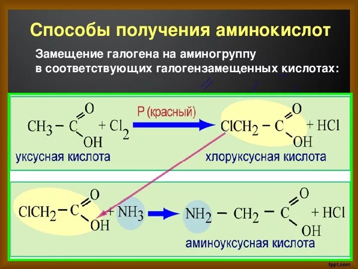 Хлоруксусная кислота в аминоуксусную. Хлоруксусная кислота аминоуксусная кислота реакция. Из хлоруксусной кислоты в аминоуксусную кислоту. Получение хлоруксусной кислоты. 3 хлор уксусная кислота