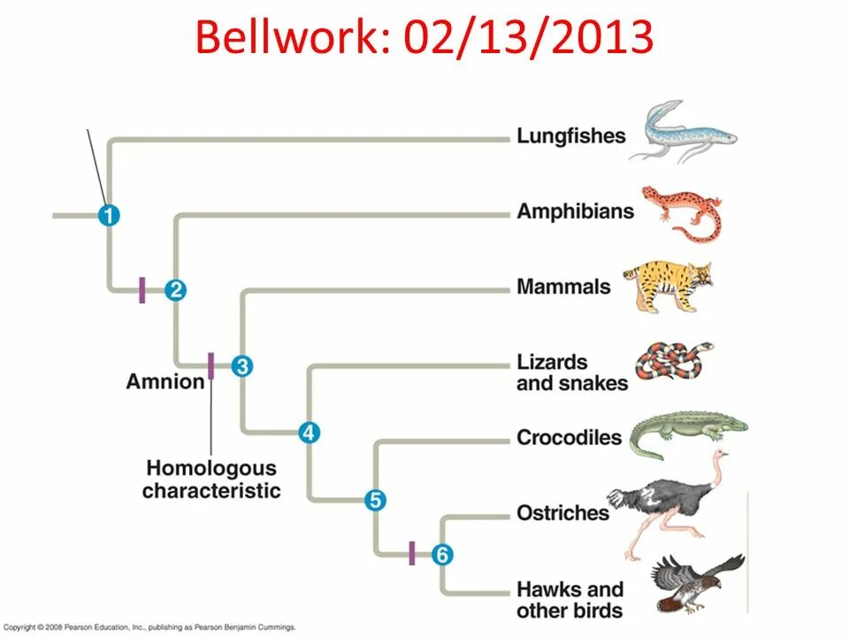 Epa common ground point. Common points. Дип поинт. Types of lines. Типы данных sql postgresql.