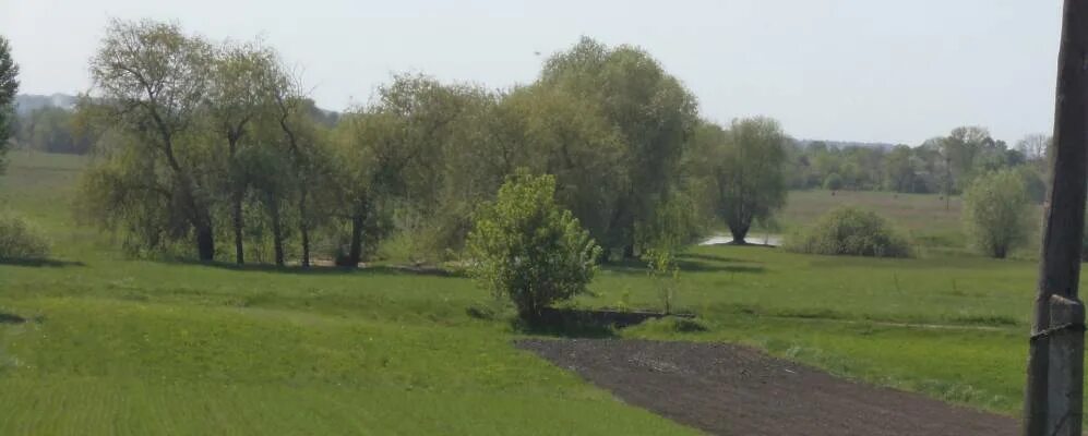 Полтавская обл Глобинский район. Полтавская область Глобинский район село Обозновка. Села Глобинского района. Село Романовка Украина.