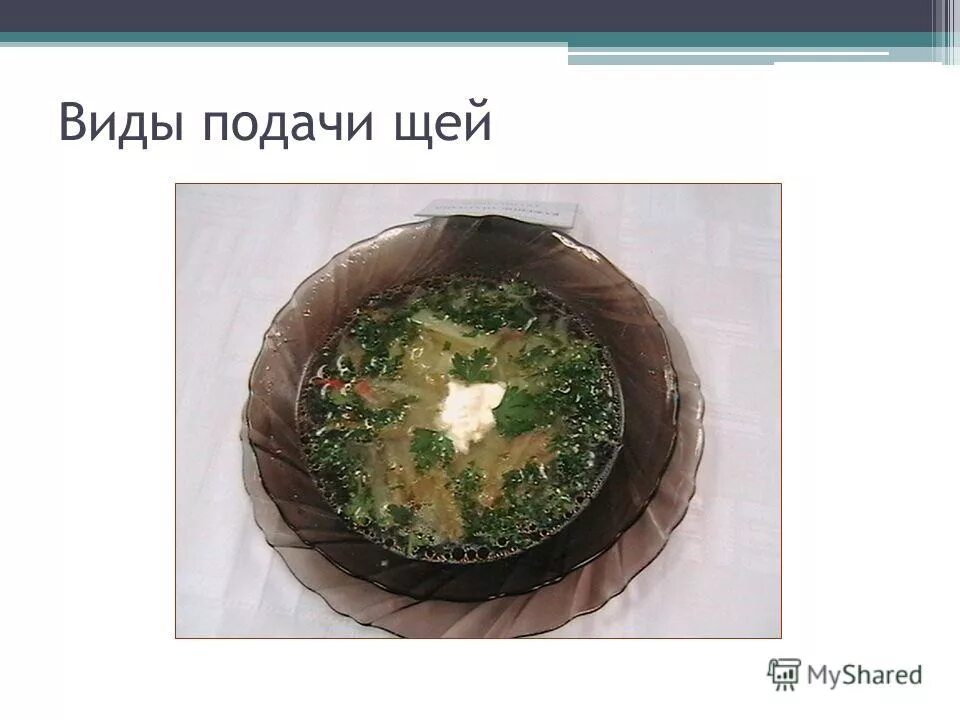 Разновидности щей. Виды подачи щей. Посуда для подачи щи зеленые. Оригинальная подача щей.