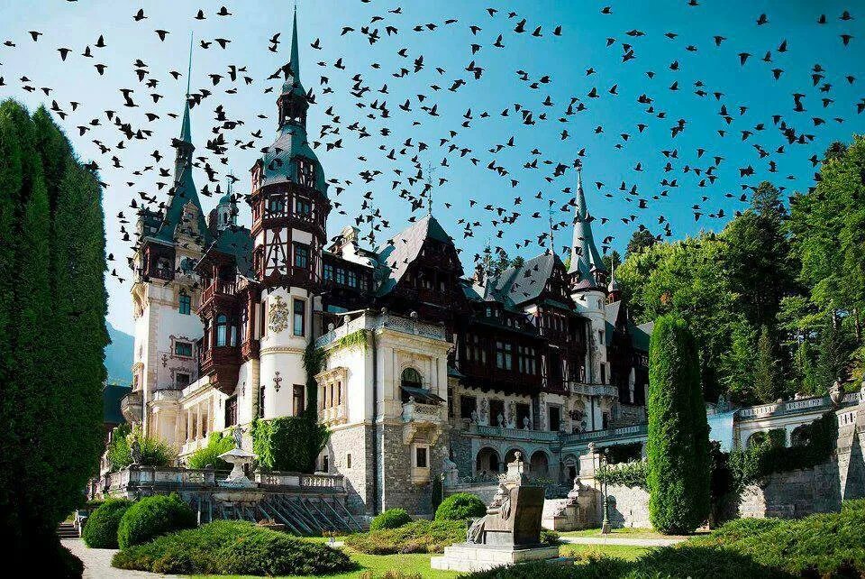Замок Пелеш Румыния. Замок Пелеш Трансильвания. Трансильвания Румыния замок Пелеш. Дворец Пелеш в Трансильвании.
