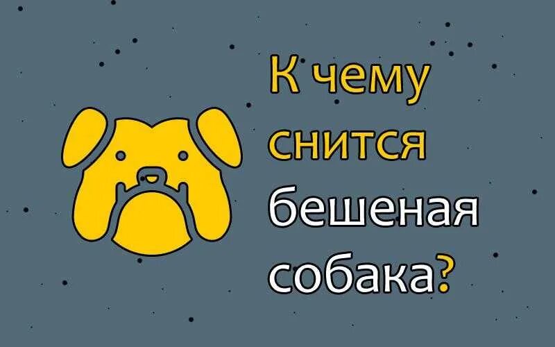 Если приснилась собака. К чему снится собака. К чему снятся собаки мужчине. Собака во сне к чему снится. К чему снится бешеная собака.