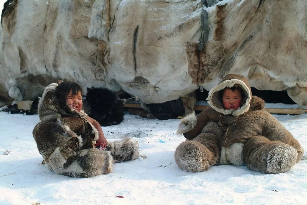 Чукчи оленеводы. Якуты, чукчи, ханты, ненцы. Ненцы и чукчи. Жизнь чукчи видео. Жизнь чукчи видео.