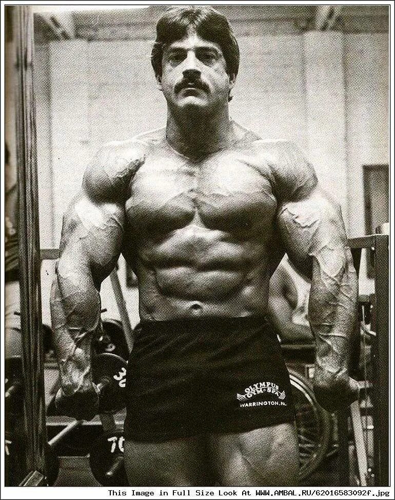 Майк ментцер высокоинтенсивный тренинг. Майк ментцер. Ментцер программа тренировок. Майк ментцер супертренинг. Колорадский эксперимент программа тренировок.