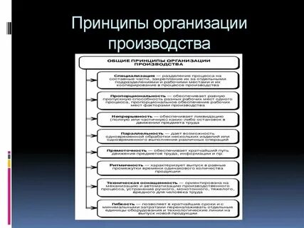 Общие принципы организации это