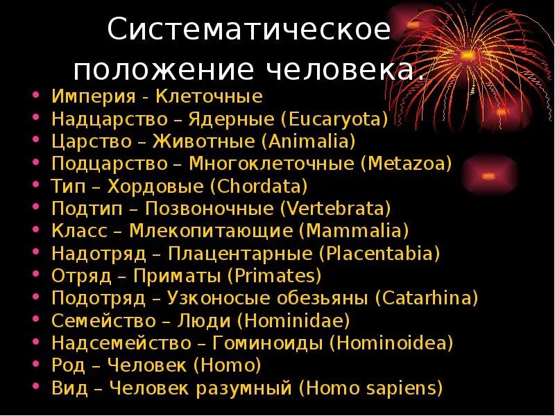 Систематическое положение тела. Империя надцарство царство подцарство тип класс. систематическое положение человека империя. систематическое положение человека империя надцарство. систематика положения человека.