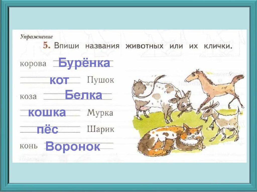 Допиши собственные имена существительные. Название клички животных. Впиши названия животных. Имена людей и клички животных. Придумать клички животных.