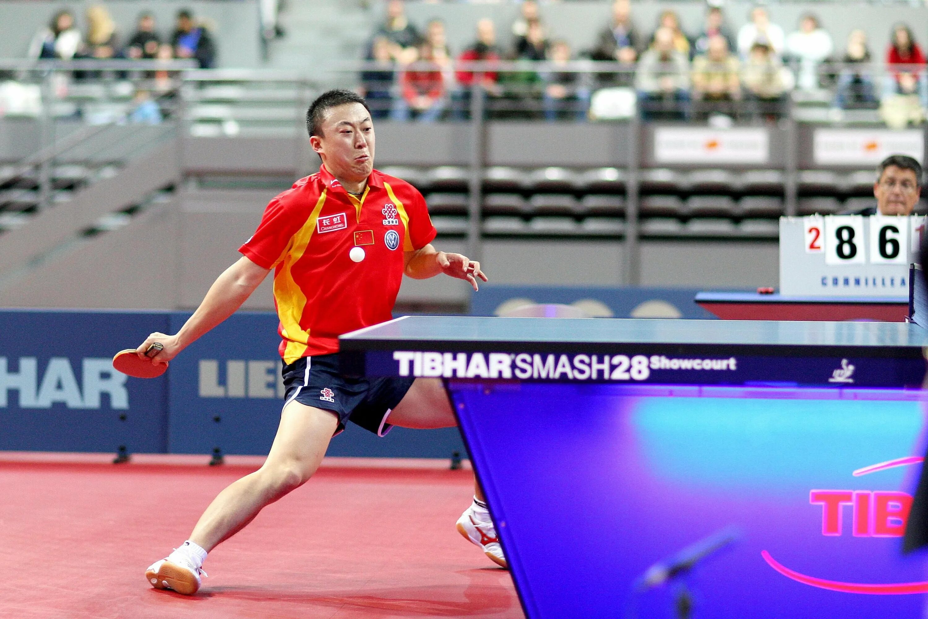 Китайский теннисист fan zhendong. Fan zhendong grip. Чжан цзикэ настольный теннис. Чжан цзикэ настольный теннис. Пинг понг таиланд.