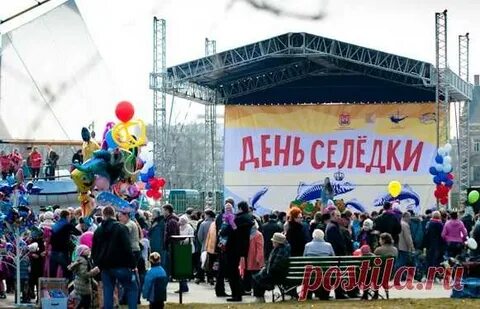 День селедки в калининграде 2024 года