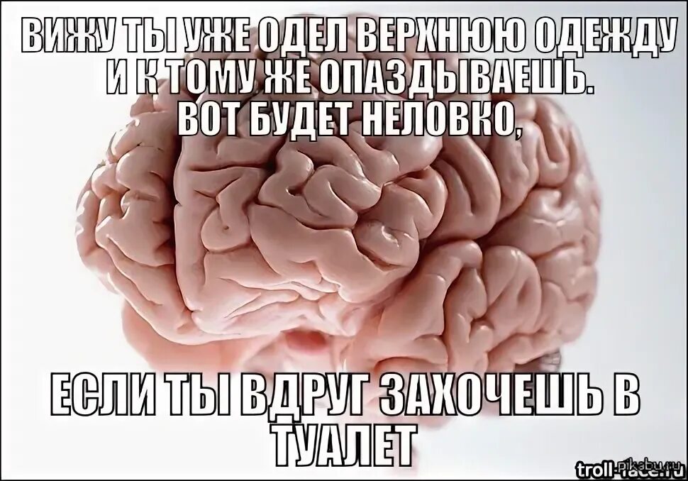 Мозги не делай. Мозг с автоматом.