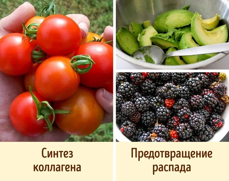 Где содержится коллаген в каких. Коллаген в продуктах. продукты богатые коллагеном. коллаген в овощах и фруктах. продукты содержащие коллаген.