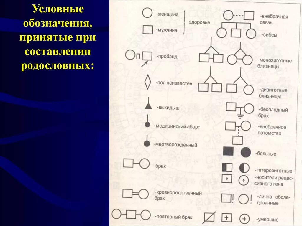 Условные обозначения генетики. Генеалогический метод обозначения в родословных. Родословная по генетике обозначения. Генеалогическое Древо обозначения. Условные обозначения при составлении родословной.