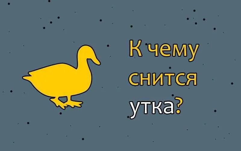 К чему снится утка во сне