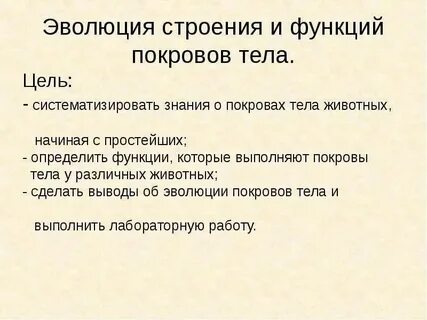 Какие покровы у простейших
