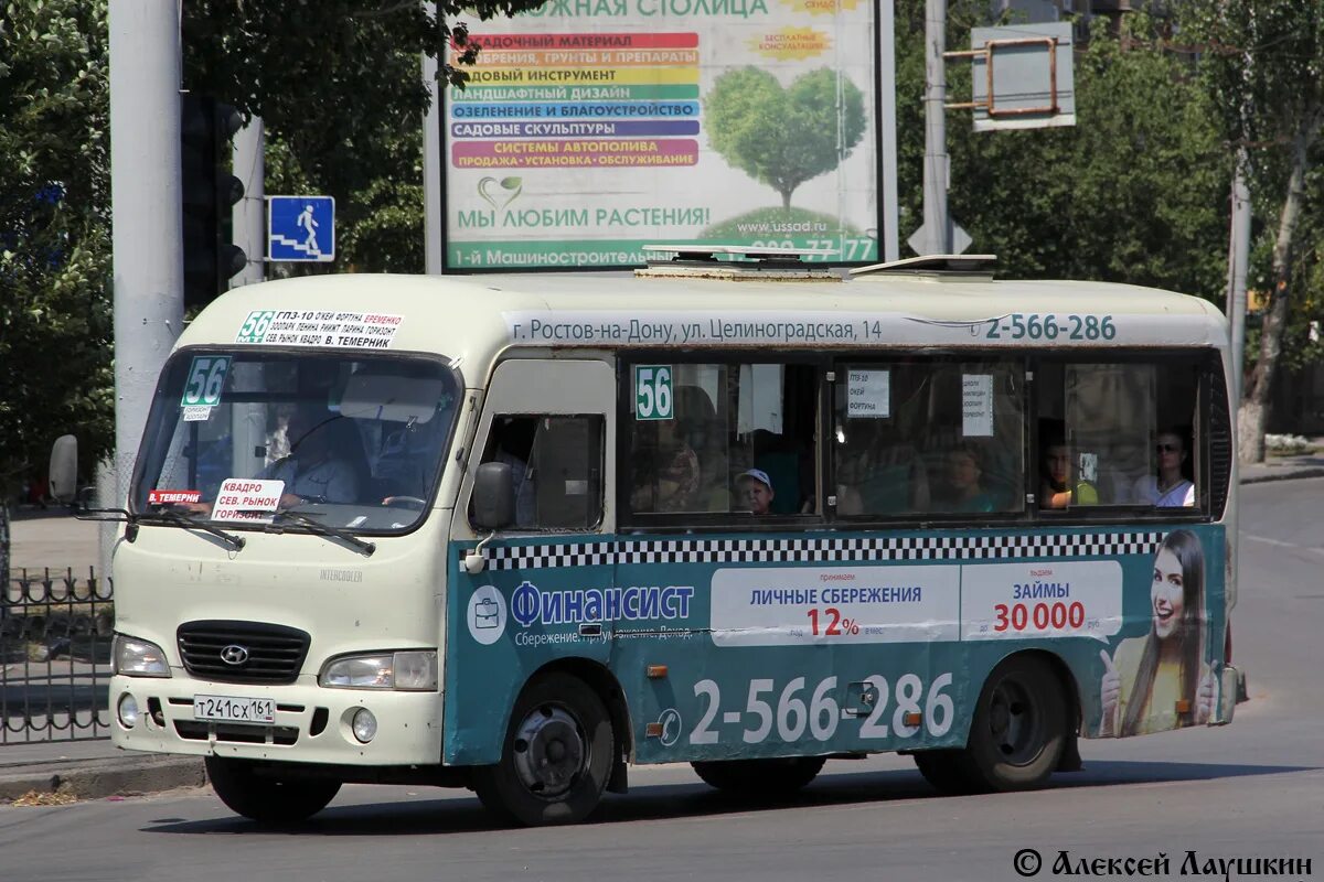 Автобус 144 красное. 56 Автобус Ростов-на-Дону. 163 Маршрутка Ростов-на-Дону. 56 Автобус Ростов. 56 Маршрутка Ростов-на-Дону маршрут.