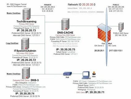 Primary dns server