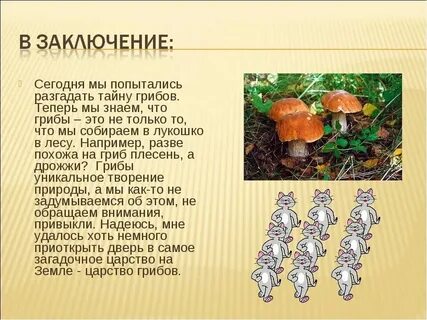 Почему грибы вкусные