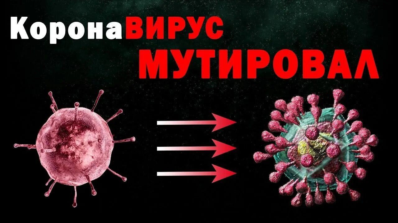 Коронавирус мутации. Биологические мутагены вирусы. Вирус вызывающий мутации. Инлуцированнве муауии. Мутации вируса гриппа.
