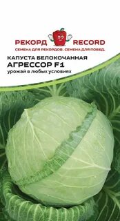 Капуста сорт агрессор характеристика