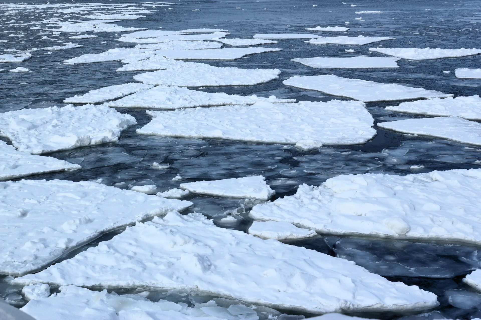 Прогноз ледохода. Лед тронулся. Лёд. Ледоход на море. Лед на реке тронулся.