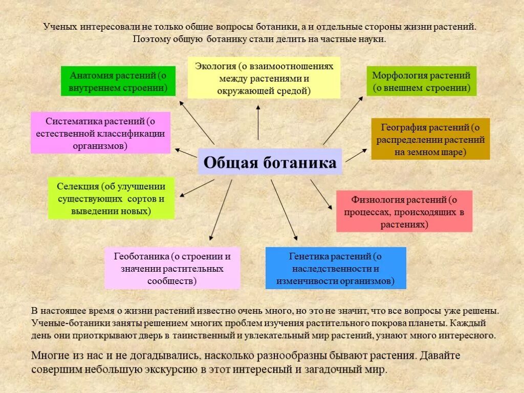 Какие бывают ботанические науки 6 класс. Процессы Ботанической науки. Основные разделы ботаники. Какие Ботанические науки существуют. Знания ботанических наук.