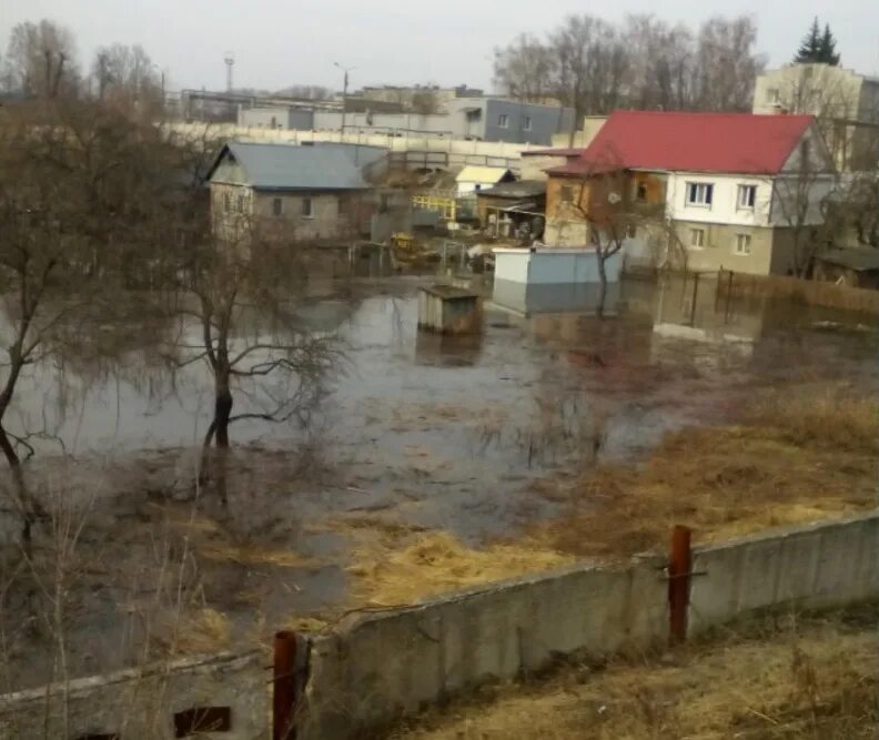 Паводок в брянске сегодня 2024. Затопленный дом в Брянске. Брянск паводок затоплен огород. Подтопление домов Весеннее. Паводок Брянск 2023.