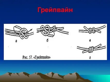 Грейпвайн