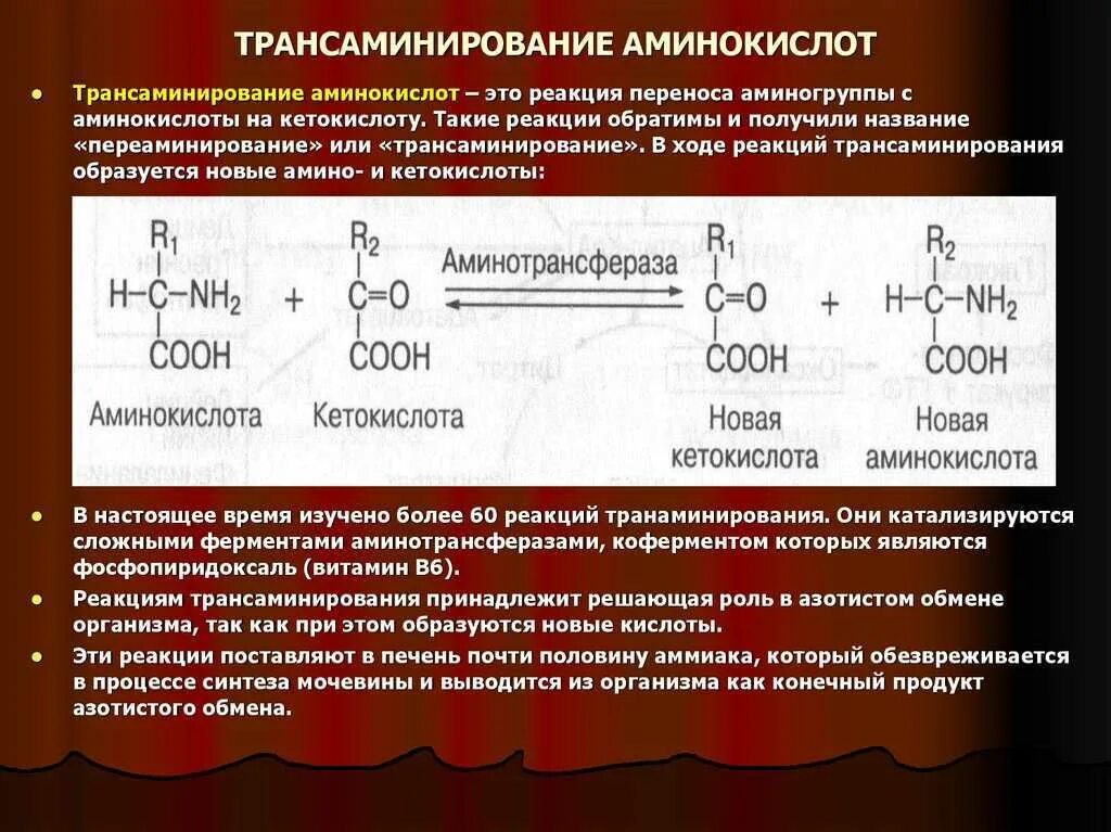 Валин трансаминирование. Реакция трансаминирования аминокислот. Трансаминирование треонина. Переаминирование (трансаминирование) аминокислот:. Как изменилось количество аминокислот