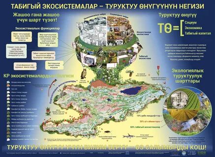 Ресурсы экосистем