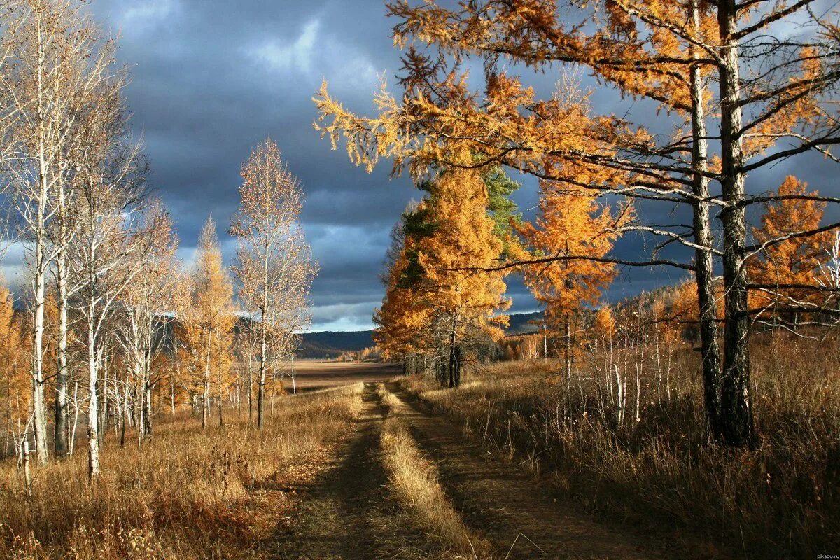 Природа сибири текст. Забайкальский край поздняя осень. Забайкальский край осень ноябрь. Забайкальский край осенью. Природа октября в Забайкалье.