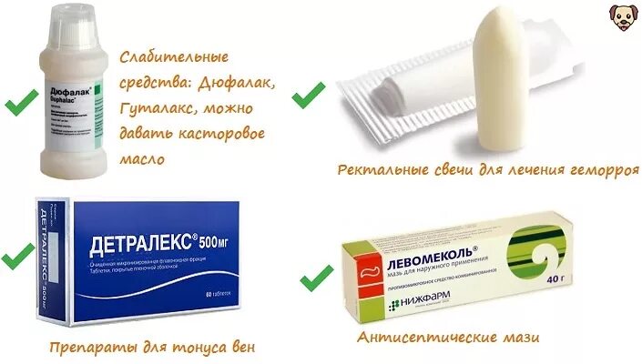 Геморрой лекарства. Чем лечить геморрой у детей. Препараты от геморроя собакам. Чем лечить геморрой у детей. Чем лечить геморрой у детей.