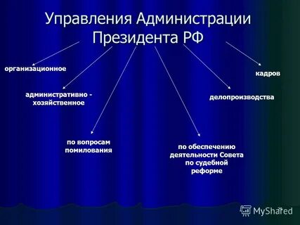 Институт президентства