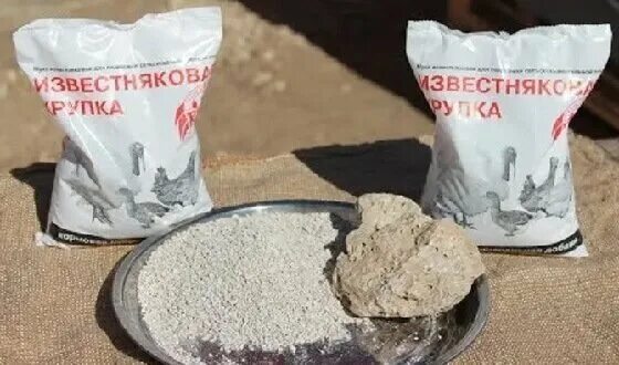 Мел курам несушкам сколько давать. Мел кормовой для кур. мел для кур несушек. известь для кур. известняк для кур несушек.