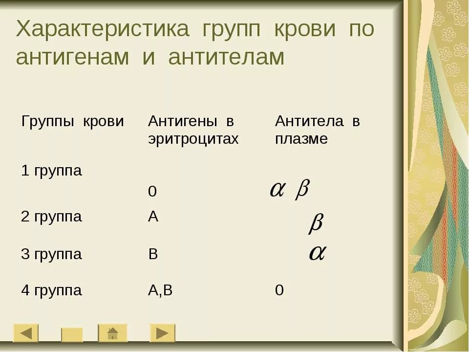 Характеристика групп крови. Охарактеризуйте группы крови. Группы крови антигены и антитела. Характеристика по группе крови.