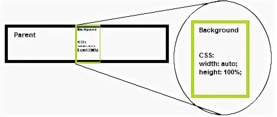 Width auto height