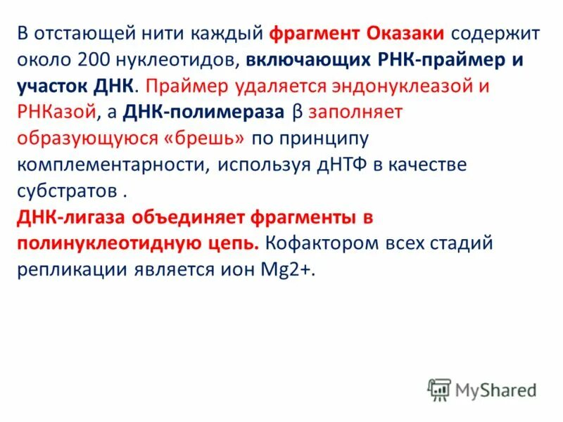 Сшивание фрагментов оказаки. Репликация днк фрагменты оказаки. Синтез днк фрагментами оказаки. Фрагменты оказаки роль. Ассиметричный синтез днк.