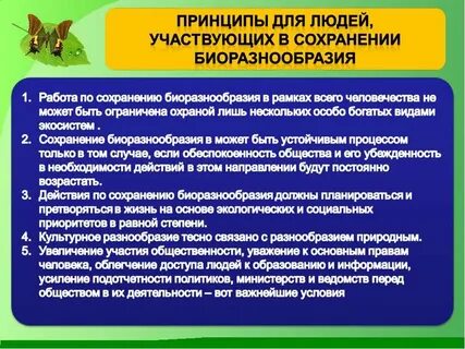 Стратегия сохранения