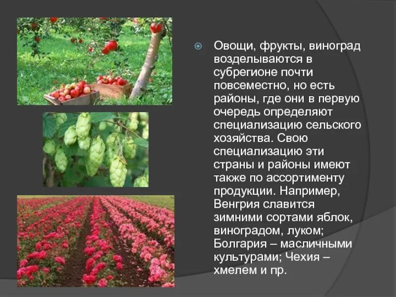 Которые в свою очередь определяют. Которые в свою очередь определяют