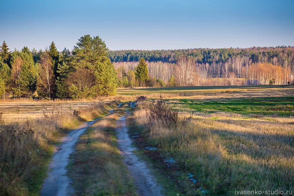 Среднерусская полоса России. Природа средней полосы России. Природа среднерусской полосы. Пейзажи среднерусской полосы. Природа средней полосы россии текст